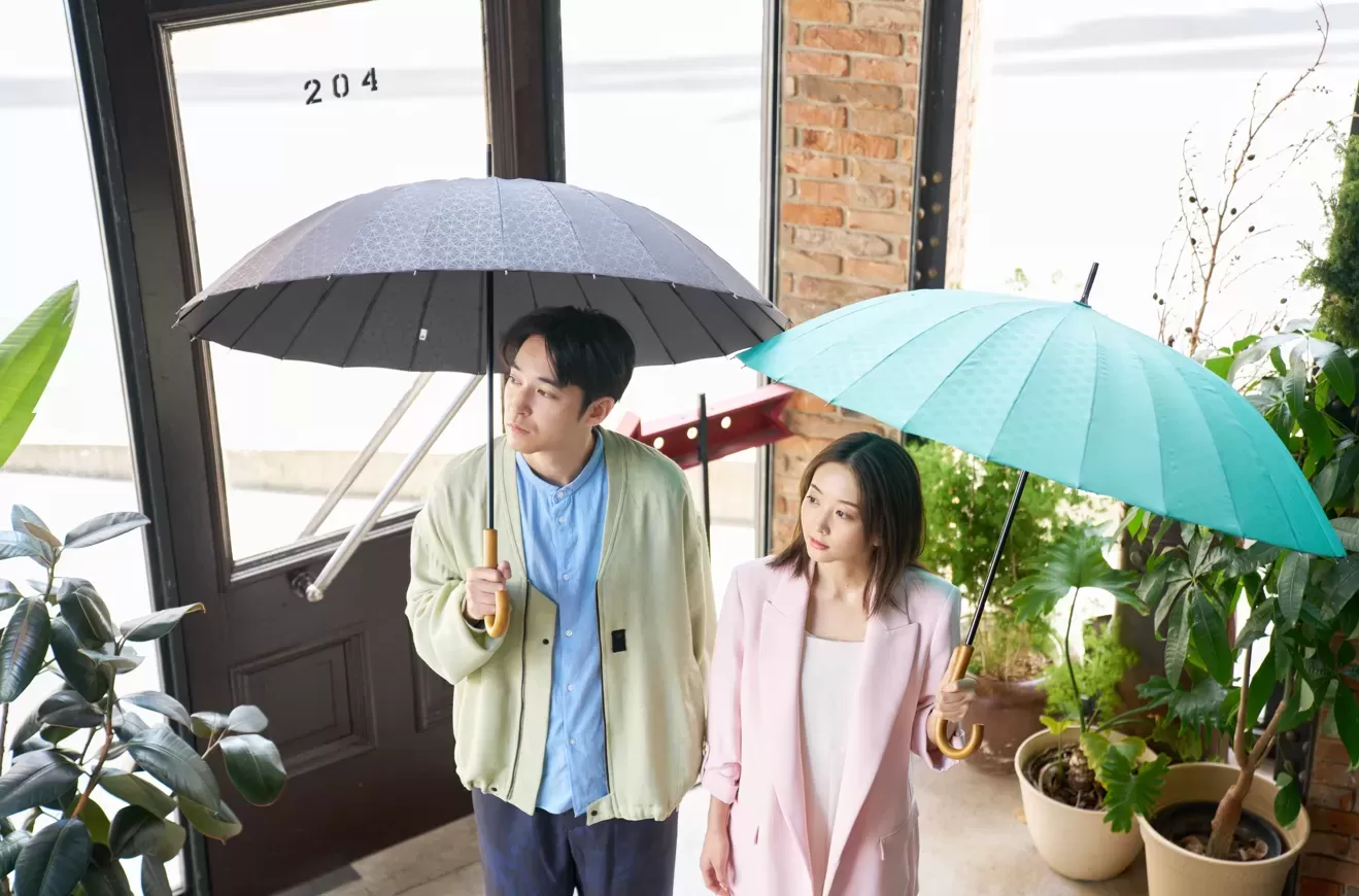 超軽量24本骨傘 江戸